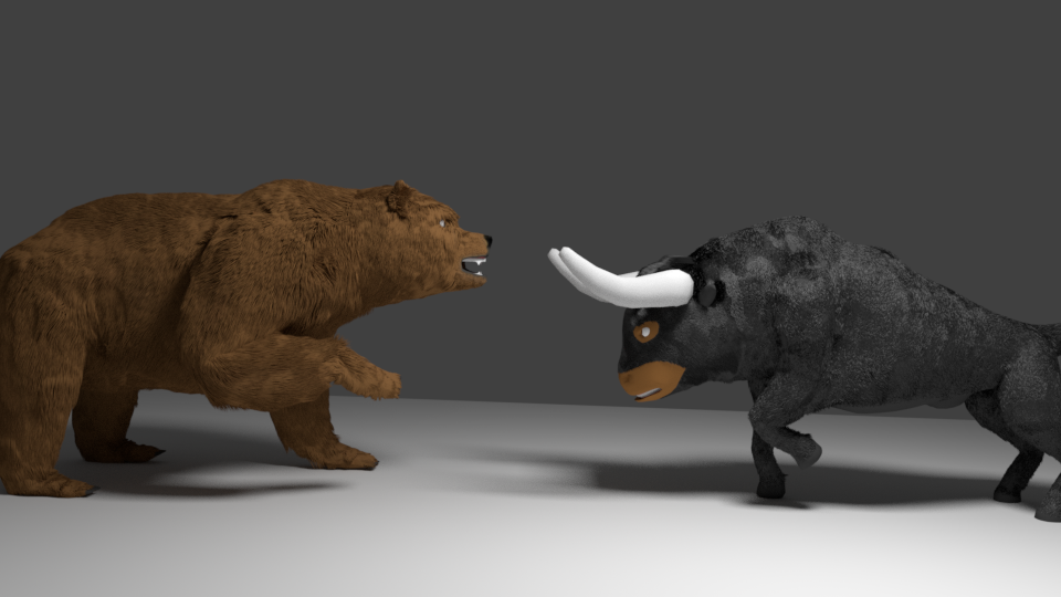Bull vs. Bear